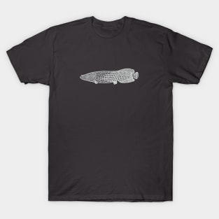 Arapaima - hand drawn detailed huge fish drawing T-Shirt